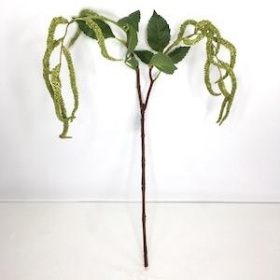 Green Amaranthus 68cm