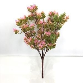 Pink Fern Bush 30cm