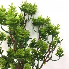 Green Fern Bush 30cm