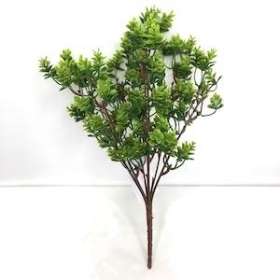 Green Fern Bush 30cm