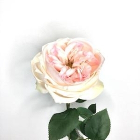 Pink Garden Rose 53cm