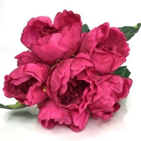 Cerise Peony Bundle 28cm