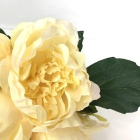 Cream Peony Bundle 28cm