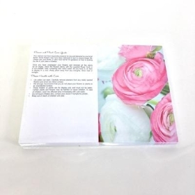 Pink White Ranunculus Folding Card x 25