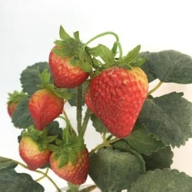 Strawberry Spray 26cm