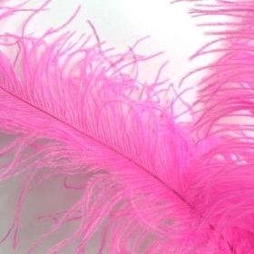 Cerise Ostrich Feathers x 5