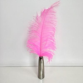 Cerise Ostrich Feathers x 5