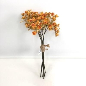 Orange Gyp Bundle 29cm