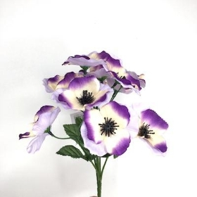 Lilac Pansy Bush 25cm