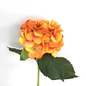 Orange Hydrangea 52cm