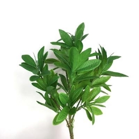 Green Bay Leaf Bush 33cm