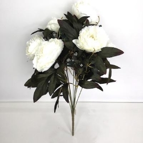 Ivory Autumn Peony Bush 48cm