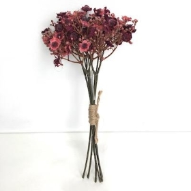 Burgundy Gyp Bundle 29cm