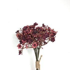 Burgundy Gyp Bundle 29cm