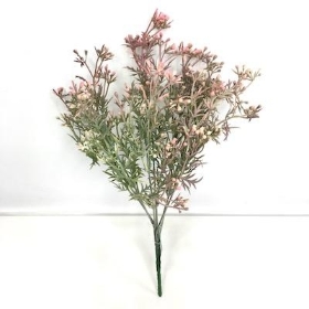Pink Waxflower Bush 34cm