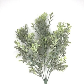 Frosted Thyme Bush 33cm
