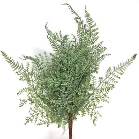 Green Fern Bush 37cm