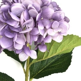 Lilac Hydrangea 81cm