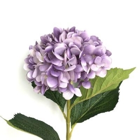 Lilac Hydrangea 81cm