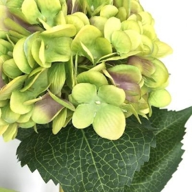 Green Hydrangea 81cm
