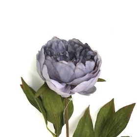 Grey Peony 62cm