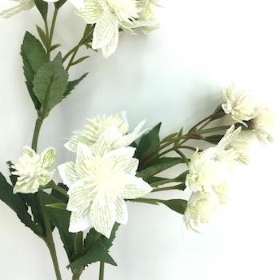 Ivory Astrantia 48cm