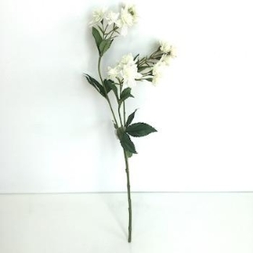 Ivory Astrantia 48cm