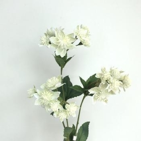 Ivory Astrantia 48cm
