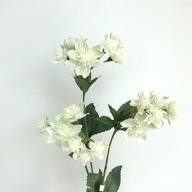 Ivory Astrantia 48cm