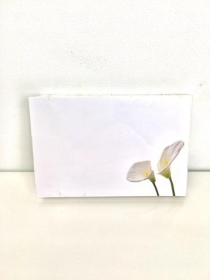 Small Florist Cards Ivory Calla