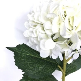 Ivory Hydrangea 81cm