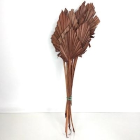 Dried Brown Palm Spear 40cm x 10