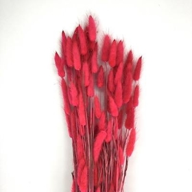 Dried Hot Pink Bunny Tails 100g