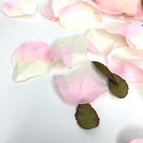 Pale Pink Rose Petals x 164