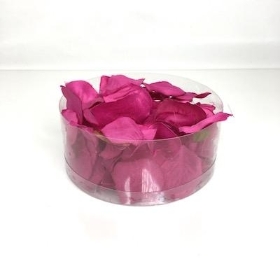 Hot Pink Rose Petals x 164