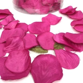 Hot Pink Rose Petals x 164