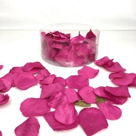 Hot Pink Rose Petals x 164