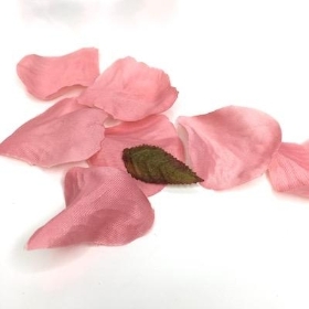 Dark Pink Rose Petals x 164