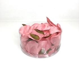 Dark Pink Rose Petals x 164