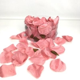Dark Pink Rose Petals x 164
