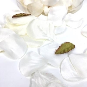 Cream Rose Petals x 164