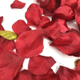 Red Rose Petals x 164