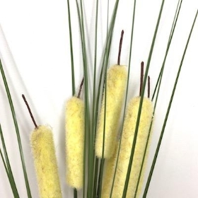 Cream Bullrush And Grass Bush 35cm