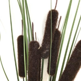 Dark Brown Bullrush And Grass Bush 35cm