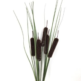 Dark Brown Bullrush And Grass Bush 35cm