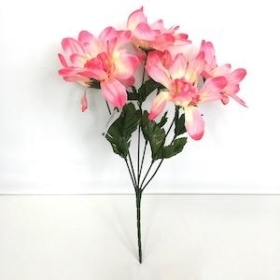 Pink Dahlia Bush 33cm