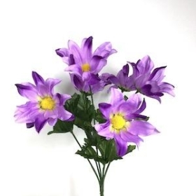 Purple Daisy Bush 32cm