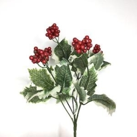 Variegated Holly Berry Bush 31cm