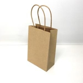 Small Kraft Paper Bag x 10
