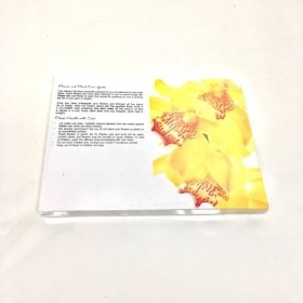 Yellow Orchid Folding Card x 25